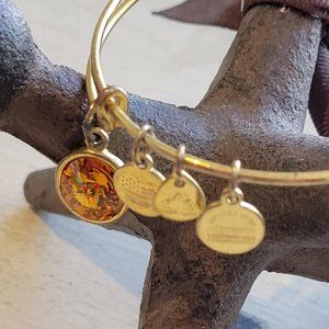 Alex and Ani November Birthstone